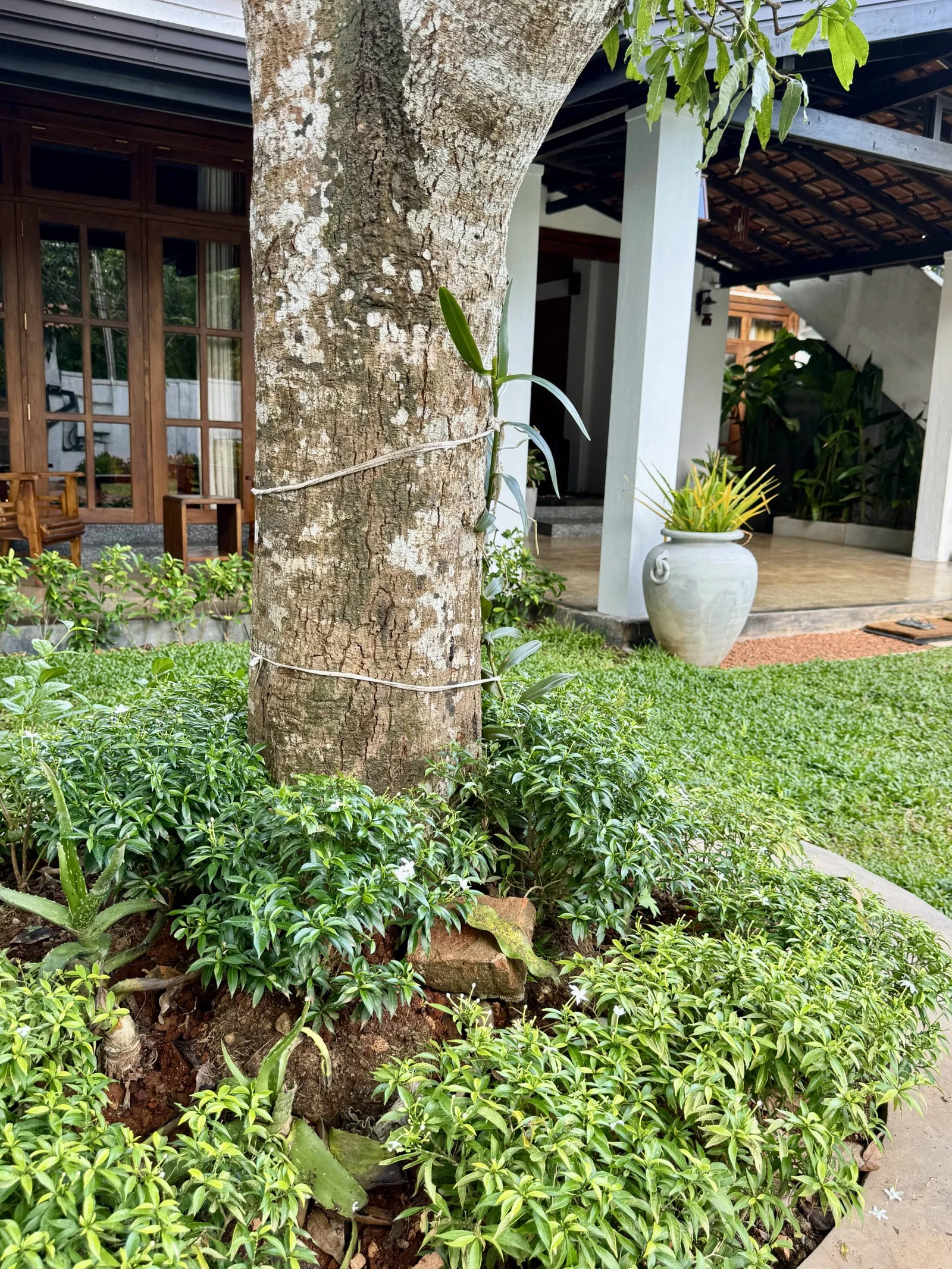 Villa View 14